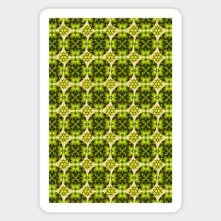 A pattern using fresh green and yellow tangerines. Sticker